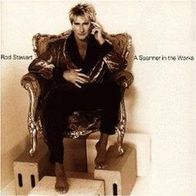 CD Rod Stewart - A Spanner In The Works