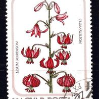 ro 2435 Ungarn Mi. Nr. 3789 o