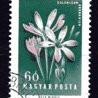 ro 2437 Ungarn Mi. Nr. 1537 o