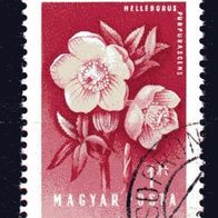ro 2438 Ungarn Mi. Nr. 1538 o