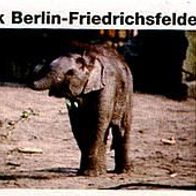 Zoo Tierpark Berlin-Friedrichsfelde Eintrittskarte 2004