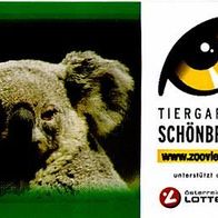 Zoo Tiergarten Schönbrunn Wien Eintrittskarte von 2006