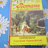 Romane für den frohen Feierabend Nr. 256