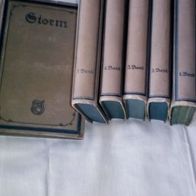 6 Bände Storms Werke- Meyers Klassiker-Ausgaben von 1918