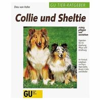 Collie und Sheltie richtig pflegen und verstehen - GU Ratgeber