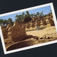 Karnak - Ägypten - Die famose Sphinx-Avenue im Amon Tempel