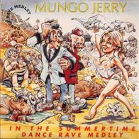 Mungo Jerry - In The Summertime (Dance Rave Medley) - 12" Maxi - ZYX Records (D) 1990