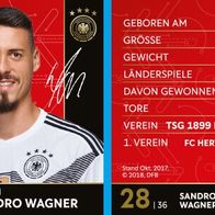 DFB-REWE Sammelkarte WM 2018 Nr. 28 Sandro Wagner - NEU