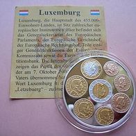 Die ersten Euro-Münzen Luxemburg 2002 - Edelprägung PP Gold Silber