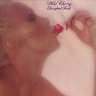 Wild Cherry – Electrified Funk gatefold LP funky disco 1977