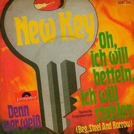 7"NEW KEY/ New Seekers · Oh ich will betteln ich will stehlen (CV RAR 1972)