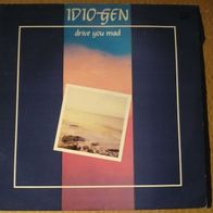 Idiogen - Drive You Mad LP