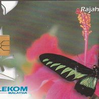 TK Telekom 10 RM gebraucht - Malaysia Schmetterling Rajah Brooke