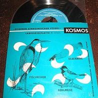 Stimmen einheimischer Vögel - 7" Kosmos EP960 - mint !