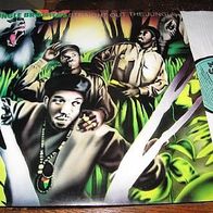 Jungle Brothers - Straight out the jungle - megarare Kult-Lp !