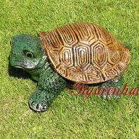 33+ Schildkröte Teich Kaufen, Angeboten werden zwei teich