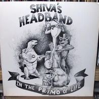 Shiva´s Headband - In The Primo Of Life LP 1983 USA