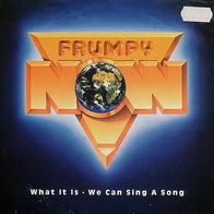 7"FRUMPY · What It Is (RAR 1990)