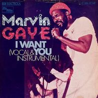 7"GAYE, Marvin · I Want You (RAR 1975)