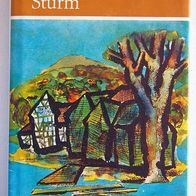 Buch Bodo Kühn Scheidemüller Sturm (Ilmenau Henneberg und Schwarzburg)