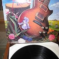 Charlie Daniels Band - Powder keg - UK Lp - mint