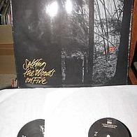 The Walkabouts - Setting the woods on fire - 2 Lp - rar