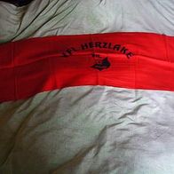 Schal Fanschal VFL Herzlake einseitig bedruckt Neu