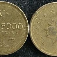 Türkei 5000 Lira 1995 Türkiye