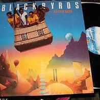The Blackbyrds - Better days - ´81 Fantasy Lp - mint !!