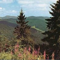 alte Ansichtskarte Badenweiler, Blick v Hochblauen 1979