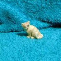 Niedliche Katze F.4 aus Kunststein handbemalt