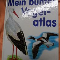 Mein bunter Vogel Atlas - für Kinder - Buch gebunden