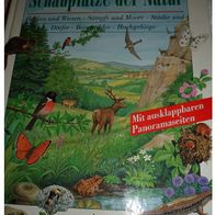Schauplätze der Natur - Delphin Verlag -für Kinder - Buch gebunden