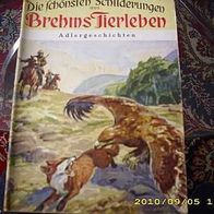 Die schönsten Schilderungen aus Brehms Tierleben Nr. 3