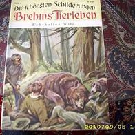 Die schönsten Schilderungen aus Brehms Tierleben Nr. 8