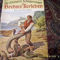 Die schönsten Schilderungen aus Brehms Tierleben Nr. 9