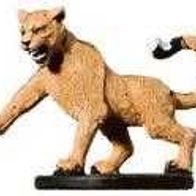 War Drums #19 - Hunting Cougar