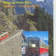 Schynige Platte Bahn / Schweiz * * Zahnrad 800 mm * * Eisenbahn * * VHS