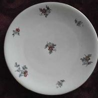 Zeh Scherzer Porzellan KuchentellerTeller 20 cm