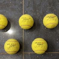 5 DUNLOP FORT Tennisbälle TENNIS BÄLLE BALL HUNDE Spielzeug