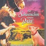 Ein Schweinchen namens BABE * * VHS