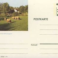 Bildpostk. Unfallverhütung P.116 Emstal c 8/98