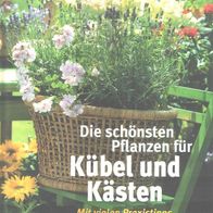 Jörn Pinske - Die schönsten Pflanzen für Kübel und Kästen Basser gebunden