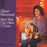 7"HAMMOND, Albert · New York City Here I Come (RAR 1975)