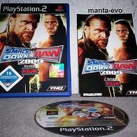 PS 2 - WWE Smackdown vs. RAW 2009