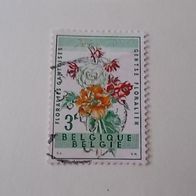 Belgien Nr 1180 gestempelt