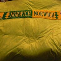 Schal Fanschal Norwich City Motiv 2 Jacquard Neu