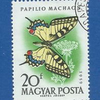 Ungarn 1959 Schmetterling - Schwalbenschwanz gest. (3002)