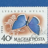 Ungarn 1959 Schmetterling - gest. (3003)