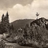 Schierke - Harz Vaupelsklippe gelaufen aus Nachlass